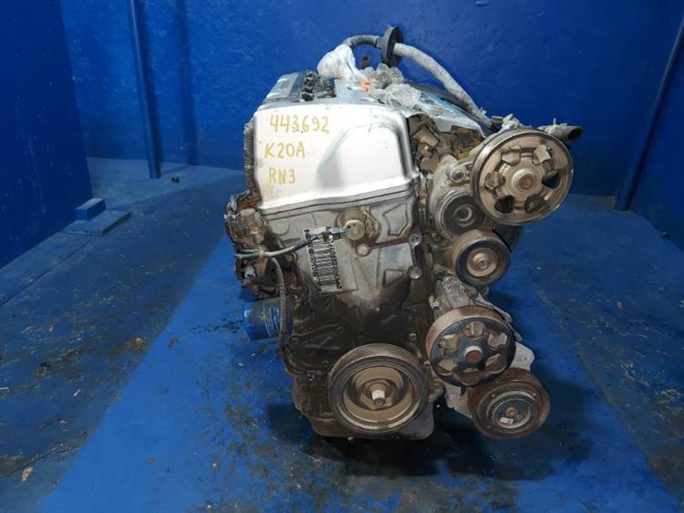 Двигатель Хонда Стрим в Димитровграде 443692